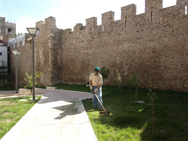 manutenzione del verde.jpg